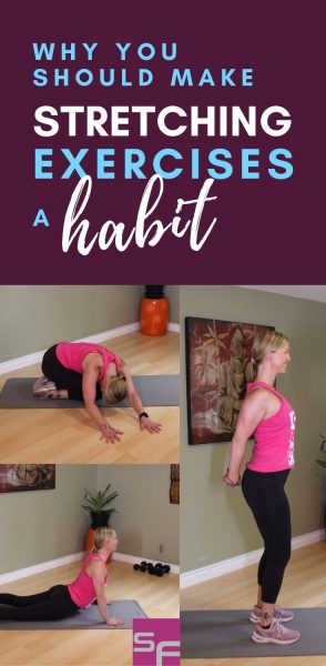 stretching exercises Pinterest successfitness stretching exercises Pinterest successfitness